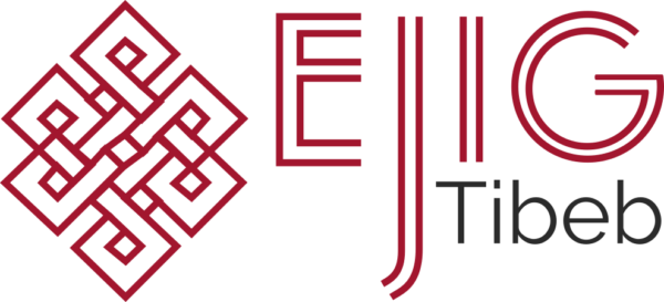 cropped-Ejig-logo